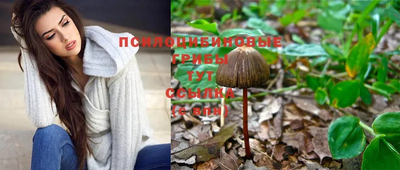 Галлюциногенные грибы Magic Shrooms  закладки  OMG как зайти  Власиха 